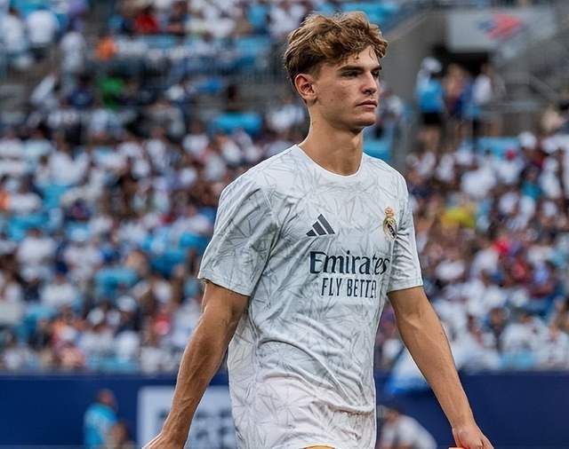 政治见解与 政治见解与