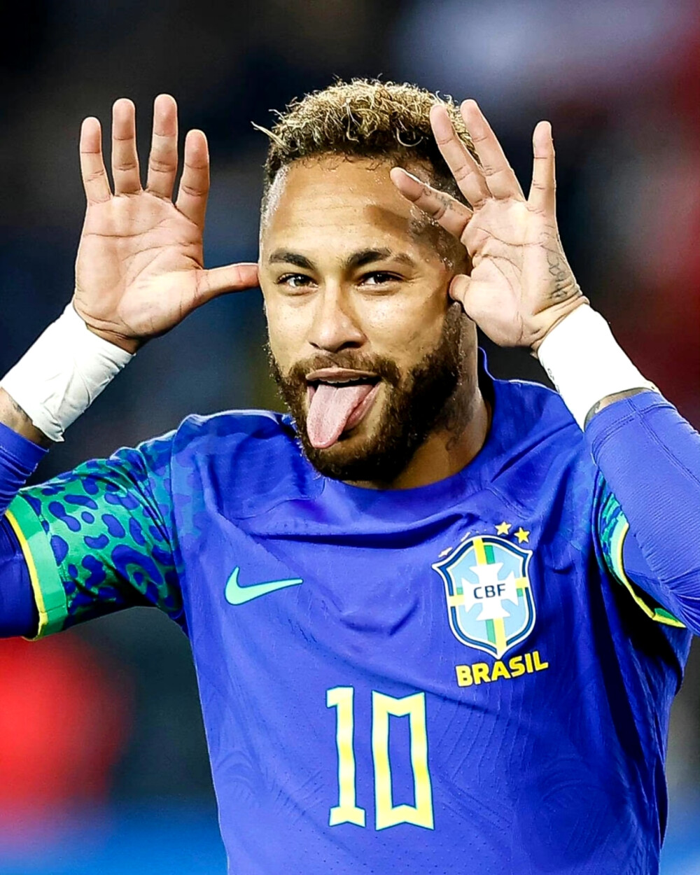 票今日开售 票今日开售